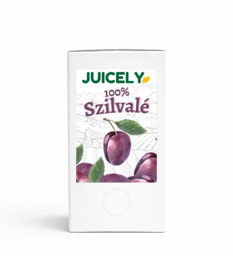 100% Szilvalé 3L