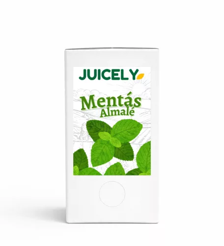 Mentás Almalé 3L