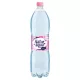 Mentes Ásványvíz - 1,5l - Natur Aqua