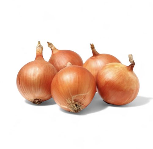 Vörös Hagyma